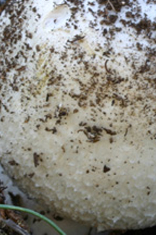 Aiutatemi ad uscire chiamandomi per nome